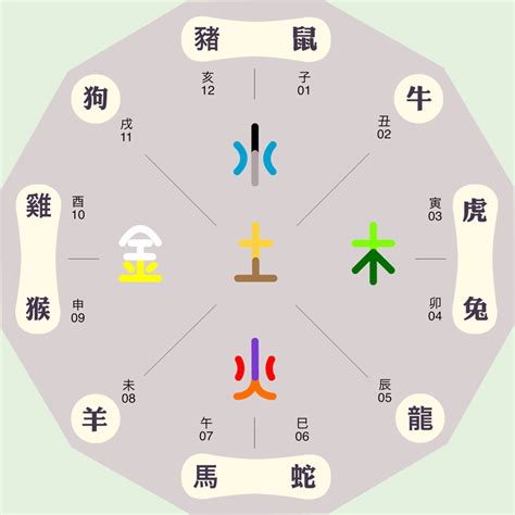 地支 五行屬性|【地支的五行】深入解析地支的五行奧秘，看懂六十甲子背後的玄。